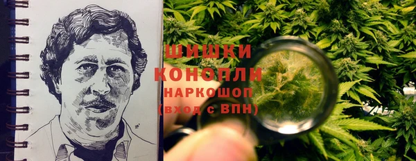 apvp Осинники
