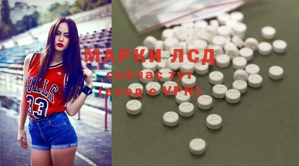 индика Грязи