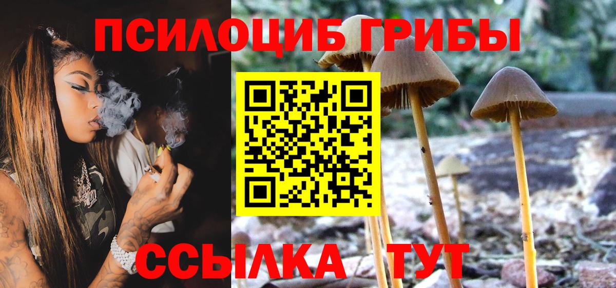 Псилоцибиновые грибы Psilocybe Сатка