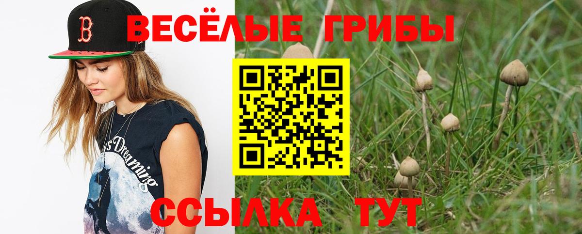 Галлюциногенные грибы мицелий  Вход с VPN  Галлюциногенные грибы мицелий  Сатка 